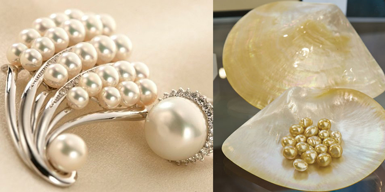 From Natural to Cultured- A Guide to Different Pearl Types and Values